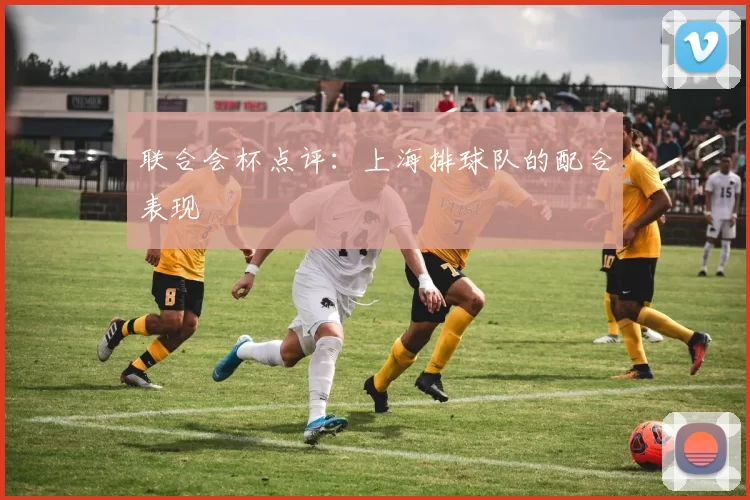 联合会杯点评：上海排球队的配合表现