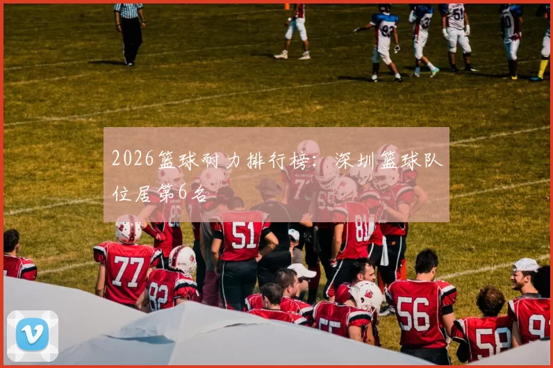 2026篮球耐力排行榜：深圳篮球队位居第6名