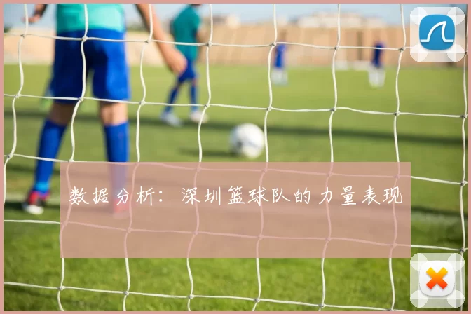 数据分析：深圳篮球队的力量表现